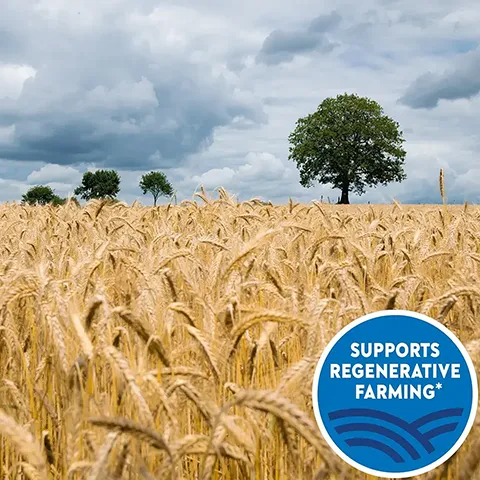 Regenerative Farming
