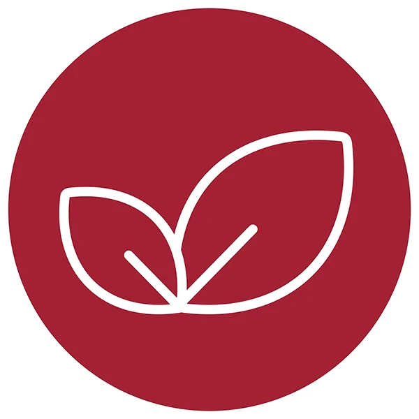 Suitable for Vegetarians